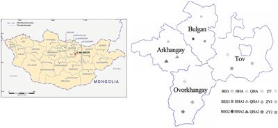 Diversity Analysis of Bacterial and Function Prediction in Hurunge From Mongolia